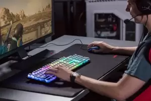 El Gobierno elimin el impuesto de 30% en Steam y Playstation