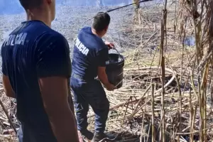 Sofocaron un incendio de caaverales en Pomn