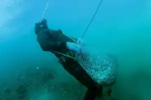 Tragedia: hallaron muerto a un pescador artesanal e investigan fallas en su equipo