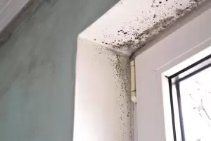 El truco sencillo y eficaz para prevenir y reparar goteras y humedades