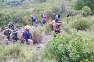 Intensa bsqueda de un hombre de 64 aos extraviado en El Manchao