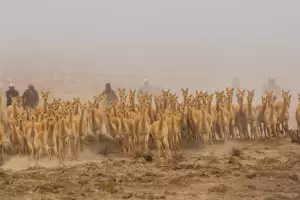 Laguna Blanca y San Jos: dos pueblos tursticos de Catamarca buscan ser los mejores del mundo
