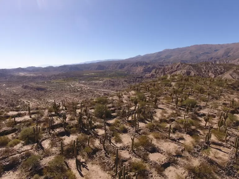 Laguna Blanca y San Jos