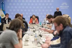 Avanza el debate sobre la moratoria previsional y el bono jubilatorio