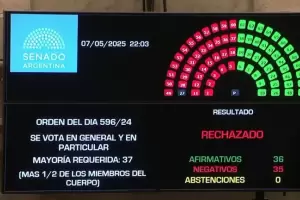 El Senado rechaz la ley de Ficha Limpia y Cristina Kirchner podr ser candidata