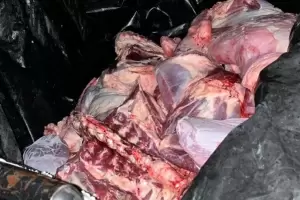 En El Alto, decomisaron e incineran carne vacuna