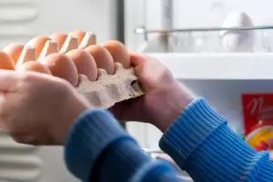 Si usaste cscaras de huevo, no las tires: qu nutrientes pueden aportar a tus plantas y cmo usarlas