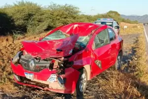 Un exconcejal protagoniz un violento choque con un animal suelto