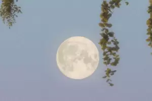 Cules son los tres signos que se vern beneficiados por la luna llena en Escorpio