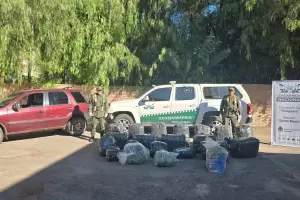 Incautaron 350 kilos de hojas de coca en una camioneta