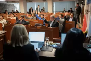 El Senado convirti� en Ley la creaci�n del Padr�n Laboral �nico de Personas con Discapacidad