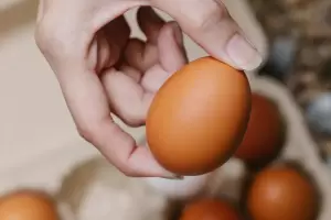 Es hora de cambiar: tres recetas fciles, rpidas y diferentes con huevo duro