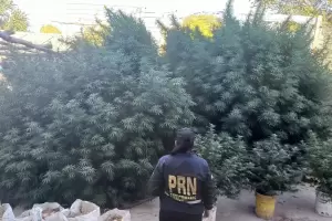 Encontr a su mejor amigo teniendo relaciones con su esposa bajo un rbol y lo mat a pualadas