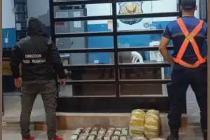 Secuestraron ms de 24 kilos de hojas de coca en El Portezuelo