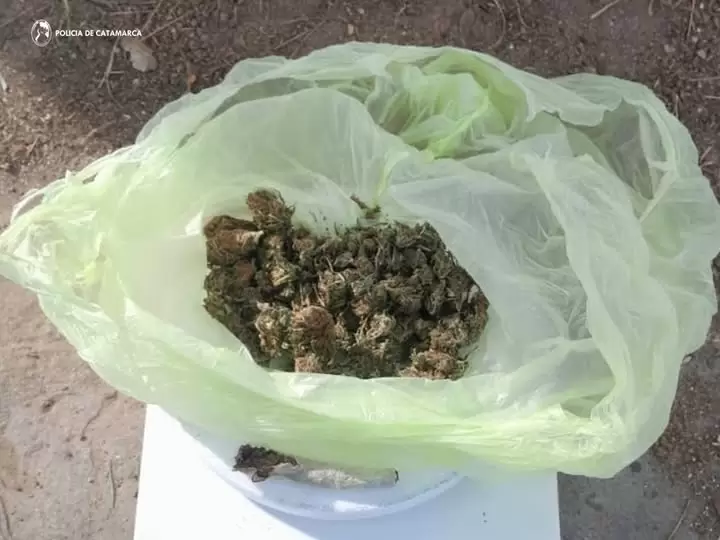 marihuana valle viejo