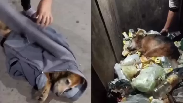 Manuela y un rescate desgarrador