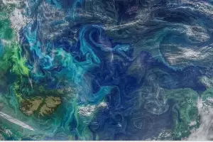 Para un cuadro: La NASA y la impactante imagen de las Islas Malvinas