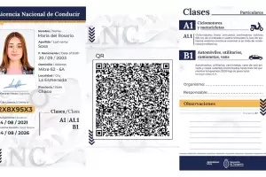 Desde hoy rige la nueva Licencia de Conducir Digital: cmo es el trmite online