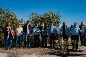 Andalgal: emprendimiento productivo impulsa el cultivo de ricino
