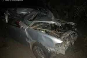 Tragedia vial: un animal suelto provoc la muerte de un hombre en el interior