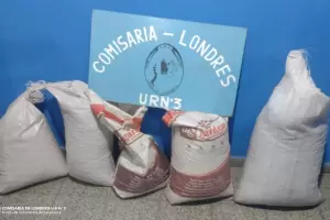 Detuvieron a un joven acusado de robar 225 kilos de nueces