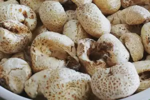 La receta para hacer tutucas caseras como las que comas en la infancia