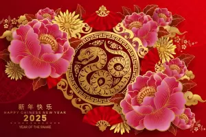 Horscopo chino: qu le depara el cierre de mayo a cada signo