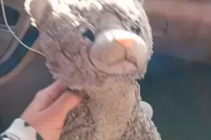 Imperdonable: una familia pag por recuperar el peluche de su hijo con autismo