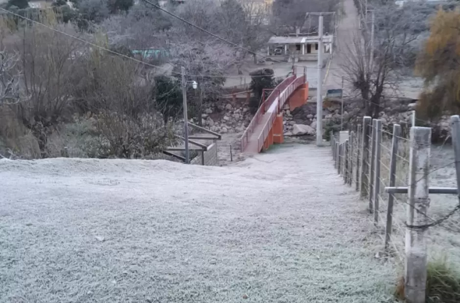 Foto gentileza Cuc Olivera