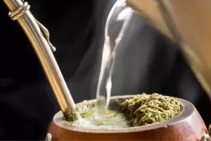 La hierba ideal para el mate que combate dolores corporales y el cansancio