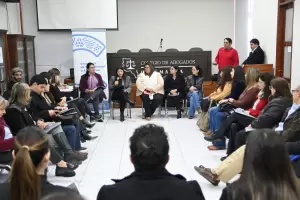 Formalizaron la Comisin Provincial Interministerial de Salud Mental Y Adicciones