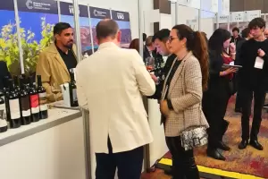 Expo Vinos & Negocios: Catamarca se proyecta en el sector vitivincola