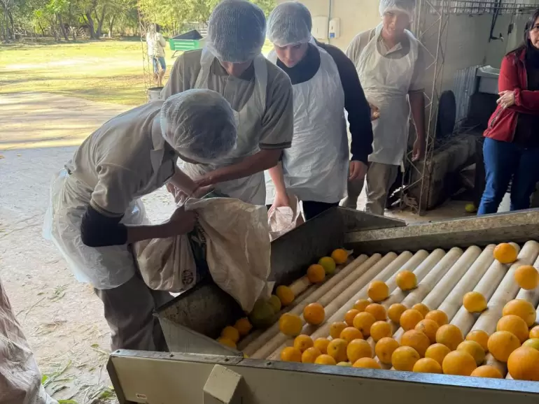 alijilan agrotecnica