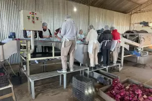 Escuela Agrotcnica de Alijiln: alumnos realizan prctica educativa