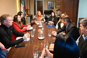 Diputados avanza con un protocolo interinstitucional para casos de femicidio