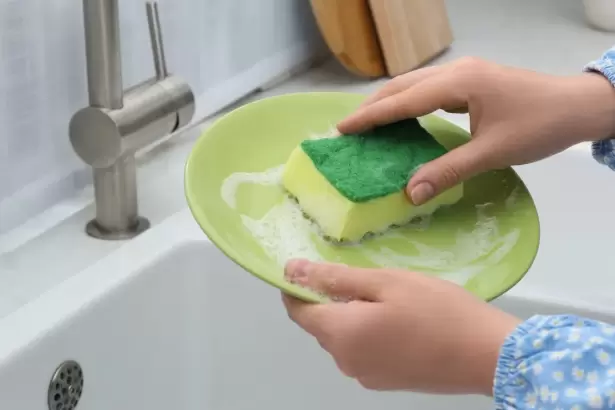 No es la bacha: el objeto de la cocina que m�s bacterias acumula y casi nadie limpia