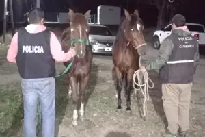 Asuntos Internos inici sumario contra los efectivos sospechados de abigeato