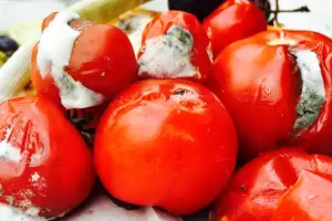 El truco para evitar que los tomates se llenen de hongos y moho cuando estn en la heladera
