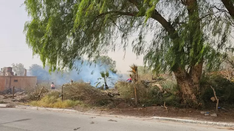 incendio en los viedos