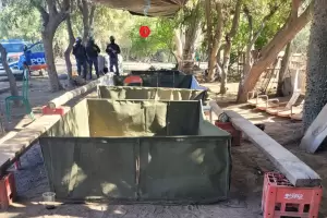 Detienen a dos personas por organizar una ria de gallos clandestina