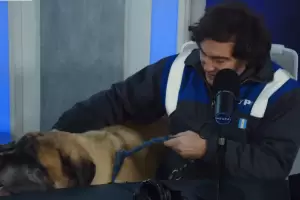 Milei sorprendi� en un streaming solidario y apareci� con su perro Conan