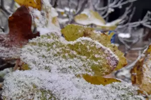 Nevada histrica: Isla Larga de blanco y hay postales