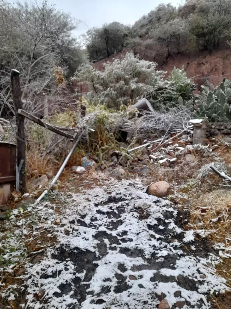 nevada histrica isla larga