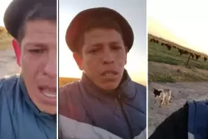 Un pen rural perdi su trabajo y su video llorando conmovi a todos