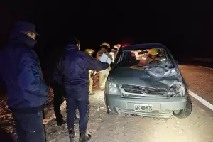 Animal suelto provoc choque en Santa Mara: la conductora result ilesa