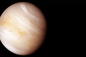 Los 4 signos beneficiados por la entrada de Venus en Gminis