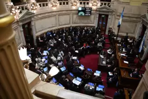 El kirchnerismo avanza en el Senado para financiar universidades y el Garrahan