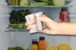 Truco ingenioso: por qu hay que colocar un vaso de vinagre dentro de la heladera