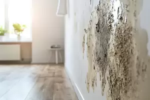 Adis a los malos olores: el truco econmico para que tu casa huela siempre bien