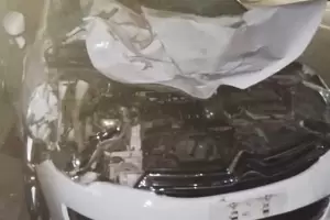 Un animal suelto provoc un siniestro vial en la Capital